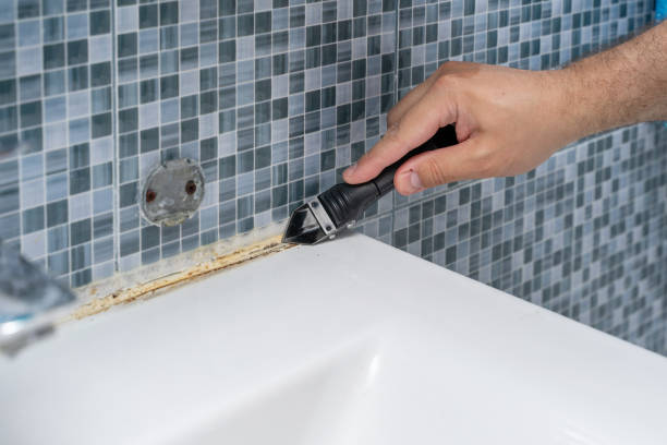 Best Best Mold Removal Companies  in Baltimore Highlands, MD